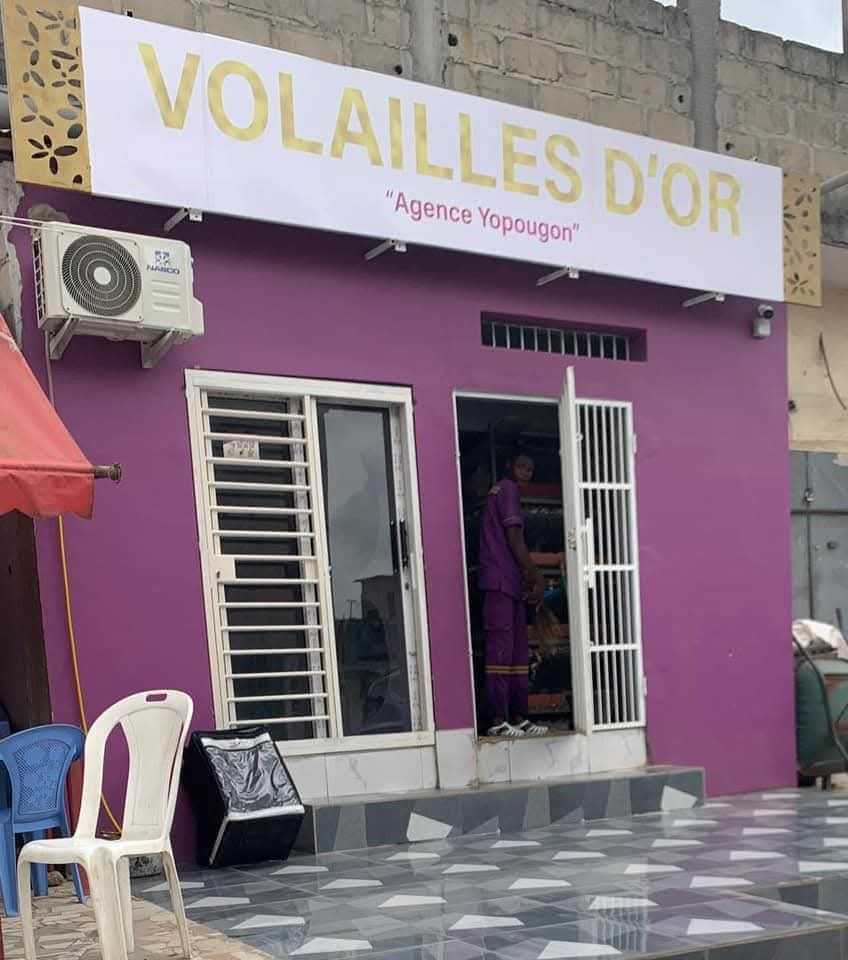 Volaille d'Or · visuel 15
